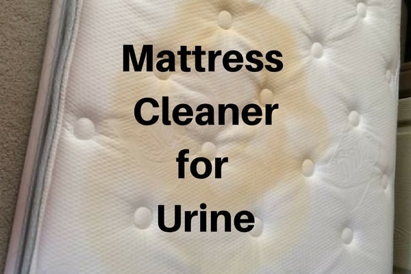 Mattress Cleaner for Urine Mattress Cleaner for Urine urine remover
