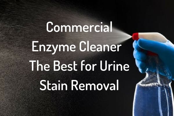 Commercial Enzyme Cleaner - The Best for Urine Stain Removal Enzyme Cleaner enzymatic cleaner