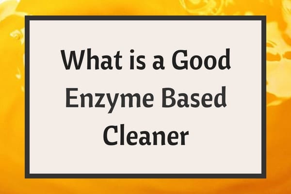 enzyme cleaner