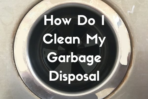 garbage disposal cleaner