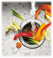 How to Clean the Garbage Disposal Smell: A Step Wise Guide garbage disposal food waste disposer