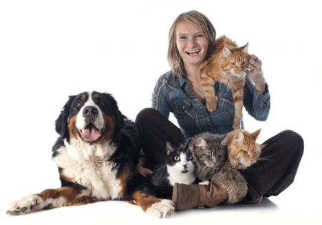 Eliminate Pet Odor