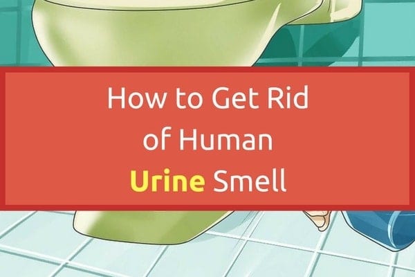 How To Get Rid Of Human Urine Smell